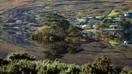 High angle view of trees on landscape