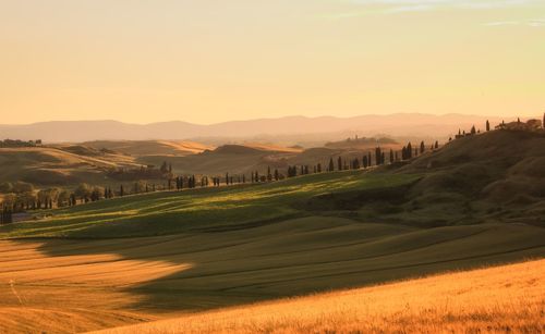 Scenic view of field against sky during sunset