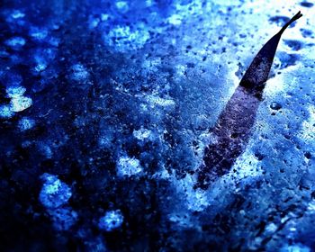 Close-up of blue background