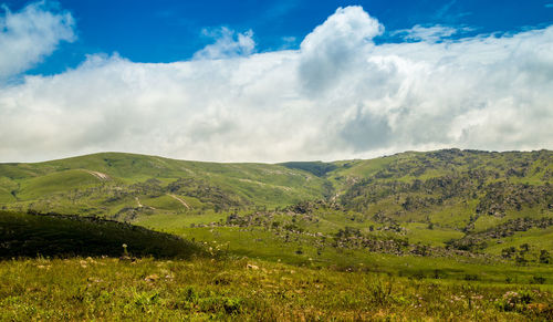 Scenic view of landscape against sky