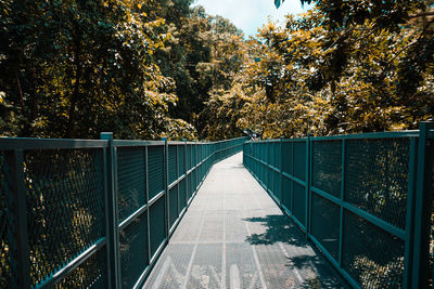 Footbridge over footpath amidst trees