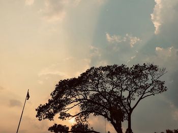 Low angle view of silhouette tree against sky at sunset