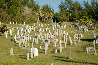 View of cemetery against trees