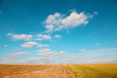 Scenic view of agricultural field against sky