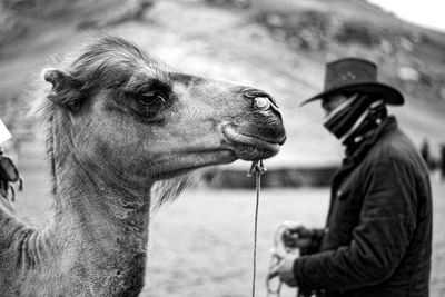 Man with camel at arid landscape