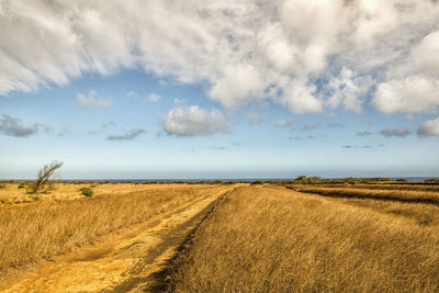 Scenic view of field against sky