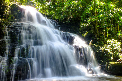 Scenic view of waterfall in forest