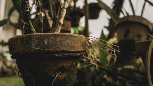 Close-up of old rusty metal