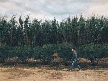 Man standing by trees against sky