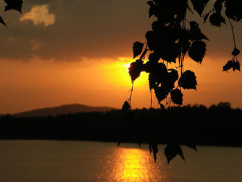 Silhouette tree by lake against orange sky