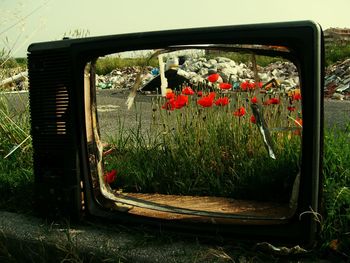 Red poppies seen through damaged television