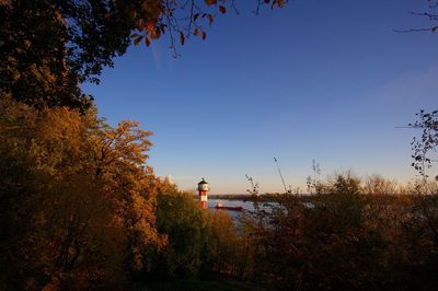 Trees and plants against sky during autumn