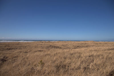 Scenic view of sea against clear blue sky