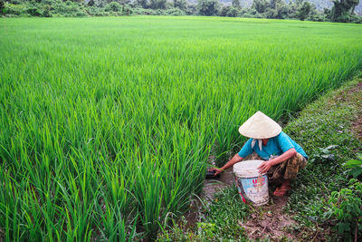 Scenic view of agricultural field