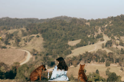 Rear view of woman sitting with dogs on mountain