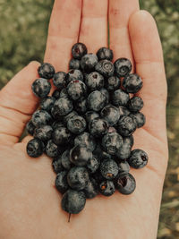 Midsection of person holding ice cream