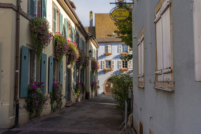 Narrow alley amidst buildings in city