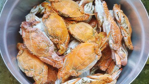High angle view of fish in plate