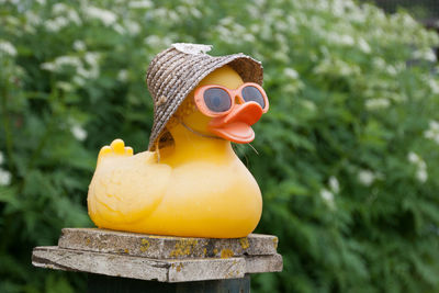Rubber duck with straw hat on fence against trees
