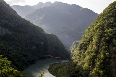 Scenic view of river amidst trees in forest