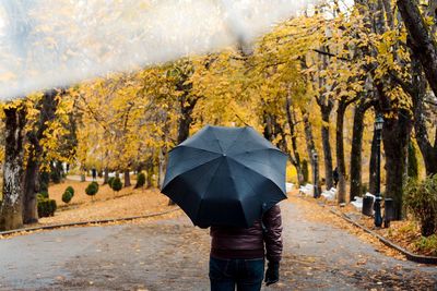 Rear view of woman walking on road amidst autumn trees