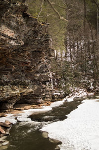 Stream flowing through rocks in forest during winter