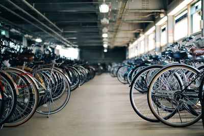 Bicycles parked at roadside