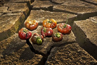 Close-up of fruits on ground