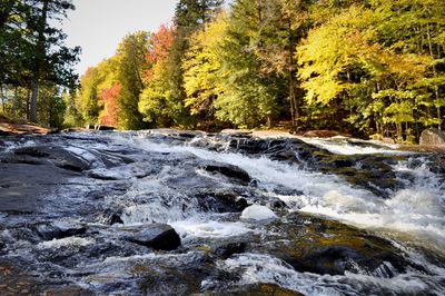 Stream flowing through rocks in forest