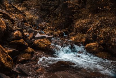 Scenic view of stream flowing through rocks in forest