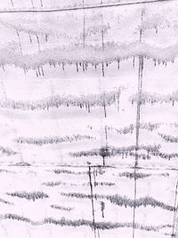 Full frame shot of snow covered landscape