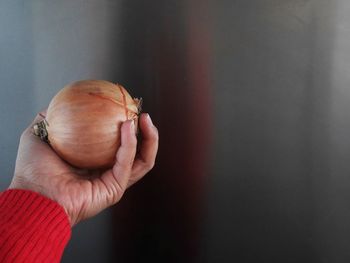 Close-up of man holding fruit