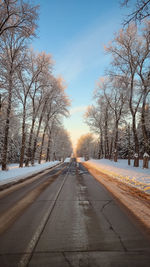 Road amidst bare tree against sky during sunset