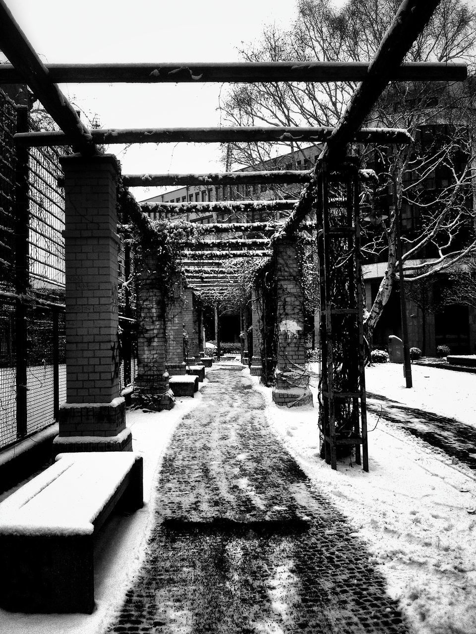 architecture, built structure, building exterior, railing, bridge - man made structure, metal, connection, city, tree, day, clear sky, snow, sunlight, incidental people, winter, outdoors, sky, the way forward, bare tree, no people