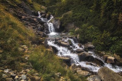 Scenic view of waterfall