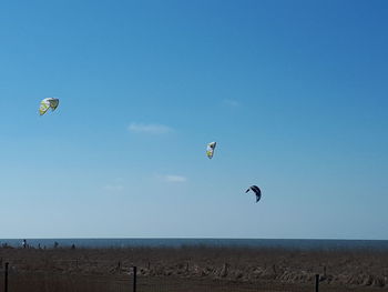 Kite flying over sea against sky