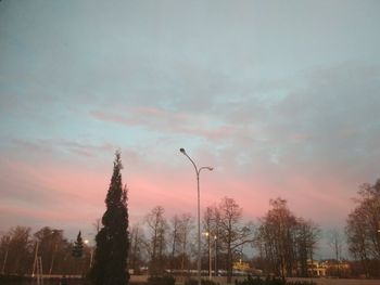 Low angle view of silhouette trees against sky at sunset