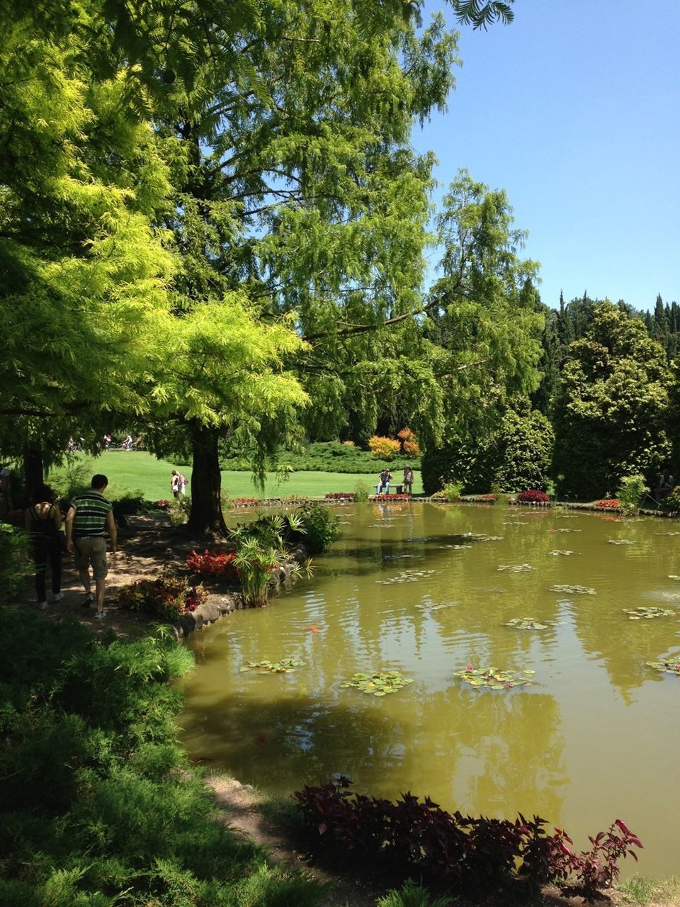 tree, water, tranquility, growth, park - man made space, nature, green color, tranquil scene, built structure, scenics, beauty in nature, day, outdoors, sky, sunlight, pond, architecture, incidental people, idyllic, lake