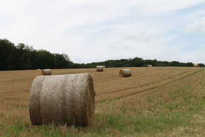 A bale of straw standing on a harvested wheat field 