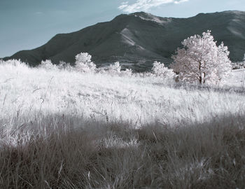 Scenic view of land and mountains against sky