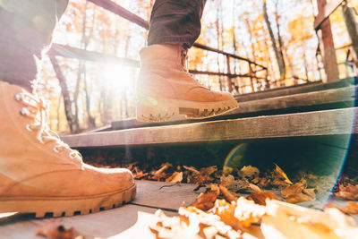 Woman hiker goes up metal stairs in picturesque autumn park with colorful trees back low angle shot