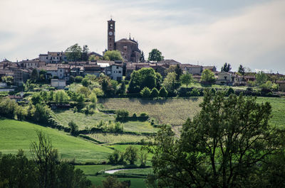 Trees and buildings against sky
