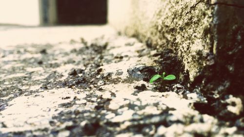 Surface level of white surface