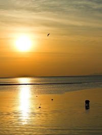 Scenic view of sea at sunset