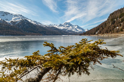 Silvaplana, switzerland, february 21, 2023 winter panorama with a view over the lake of silvaplana 
