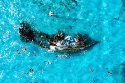 People snorkelling around the ship wreck near bahamas in the caribbean sea.