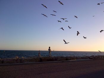 Man standing on rock while birds flying over sea against sky during sunset