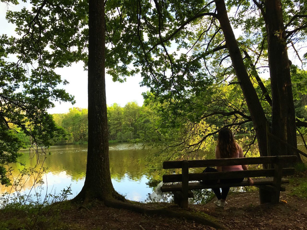 REAR VIEW OF MAN SITTING BY TREE TRUNK BY LAKE