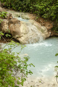 Scenic view of waterfall in forest