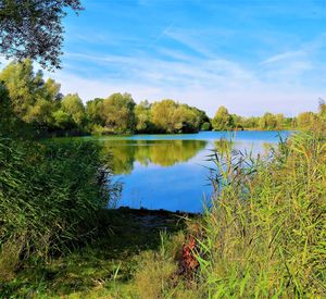 Scenic view of lake against sky